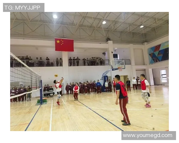 深入分析西安排球队快攻战术的核心理念与实践效果