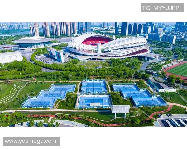 武汉网球队阵地战体系解析与战术运用探讨