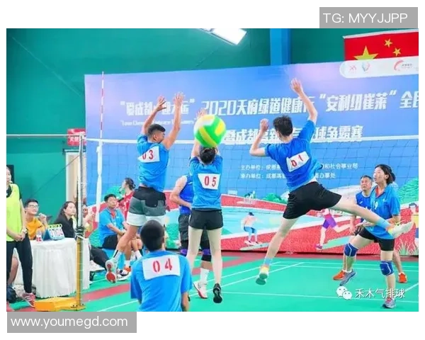 北京排球队阵地战体系解析与战术创新探讨